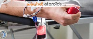 Can we make a blood donation during a steroid cycle?